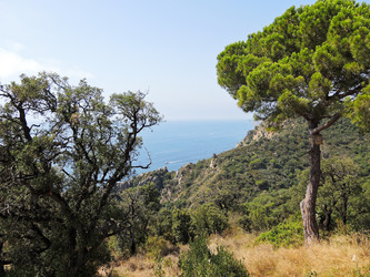 Similar image 7866654