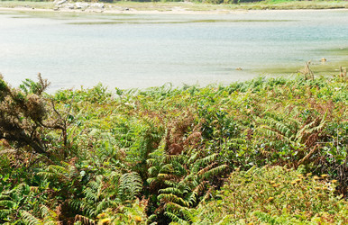 Similar image 7866675