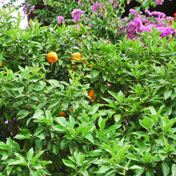 Similar image 7866679