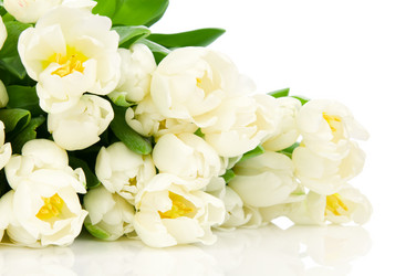 Similar image 7866684