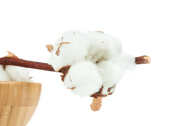 Similar image 7866688