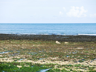 Similar image 7866765