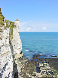 Similar image 7866773