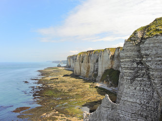 Similar image 7866774