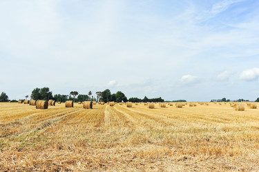 Similar image 7866799