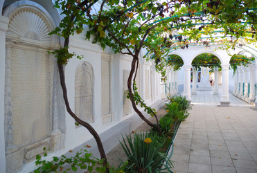 Similar image 7867010