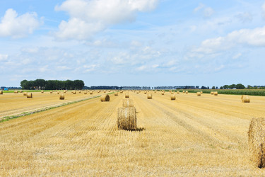 Similar image 7867292