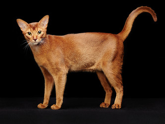 Similar image 7867326