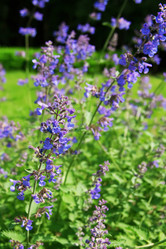 Similar image 7867332