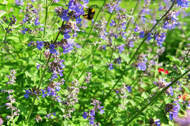 Similar image 7867334