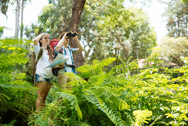 Similar image 7867374