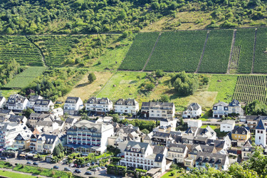 Similar image 7867388