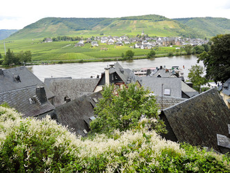 Similar image 7867407