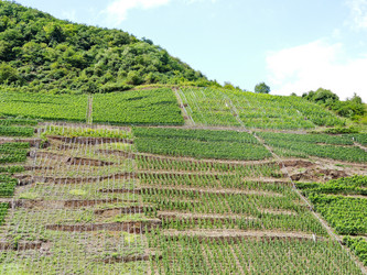 Similar image 7867425