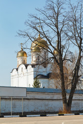 Similar image 7867448