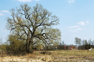 Similar image 7867449