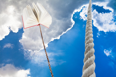 Similar image 7867539