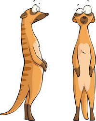 Similar image 7867775