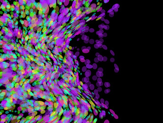 Similar image 7868359