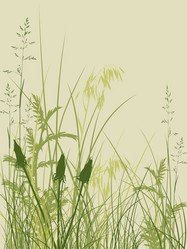 Similar image 7868604