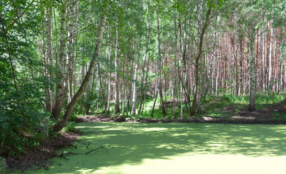 Similar image 7868760