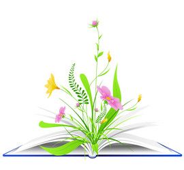 Similar image 7869062