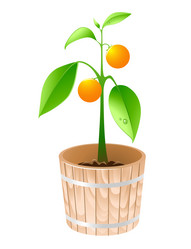 Similar image 7869108