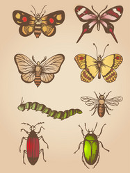 Similar image 7869540