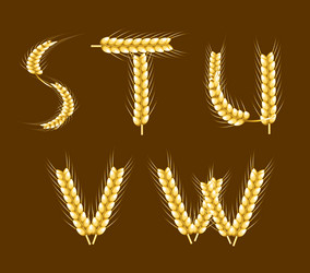 Similar image 7870055