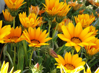 Similar image 7870496