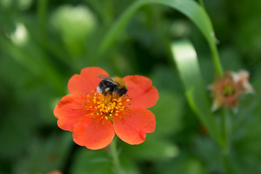 Similar image 7870542