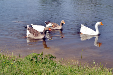 Similar image 7870543