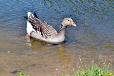 Similar image 7870544