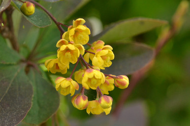 Similar image 7870545