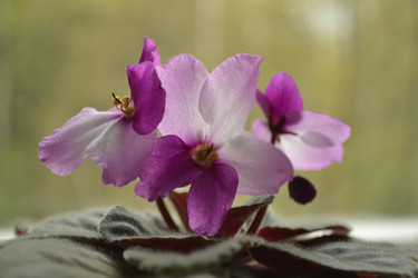 Similar image 7870546