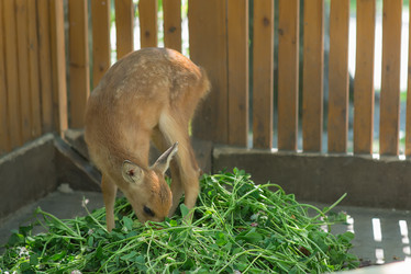 Similar image 7870548