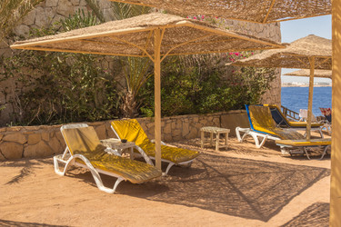 Similar image 7870559