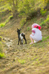 Similar image 7870564