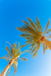 Similar image 7870587