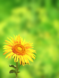 Similar image 7870868