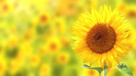 Similar image 7870872