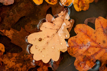 Similar image 7870929