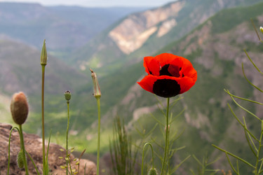 Similar image 7870973