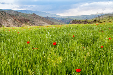 Similar image 7870978