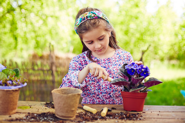 Similar image 7871005