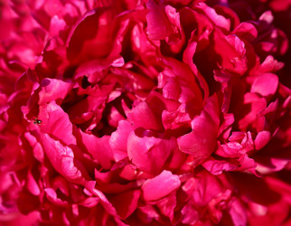 Similar image 7871025