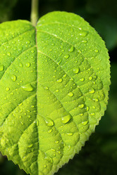 Similar image 7871026