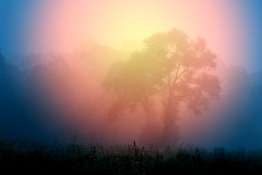 Similar image 7871028