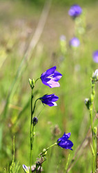 Similar image 7871033