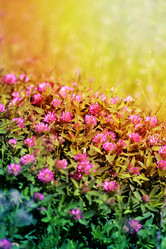 Similar image 7871036